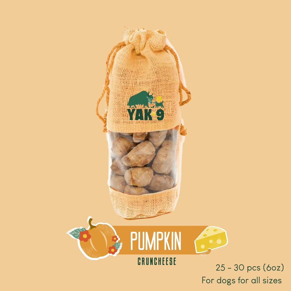 Yak9 Pumpkin CrunCheese for Dogs - Yak9 Chews