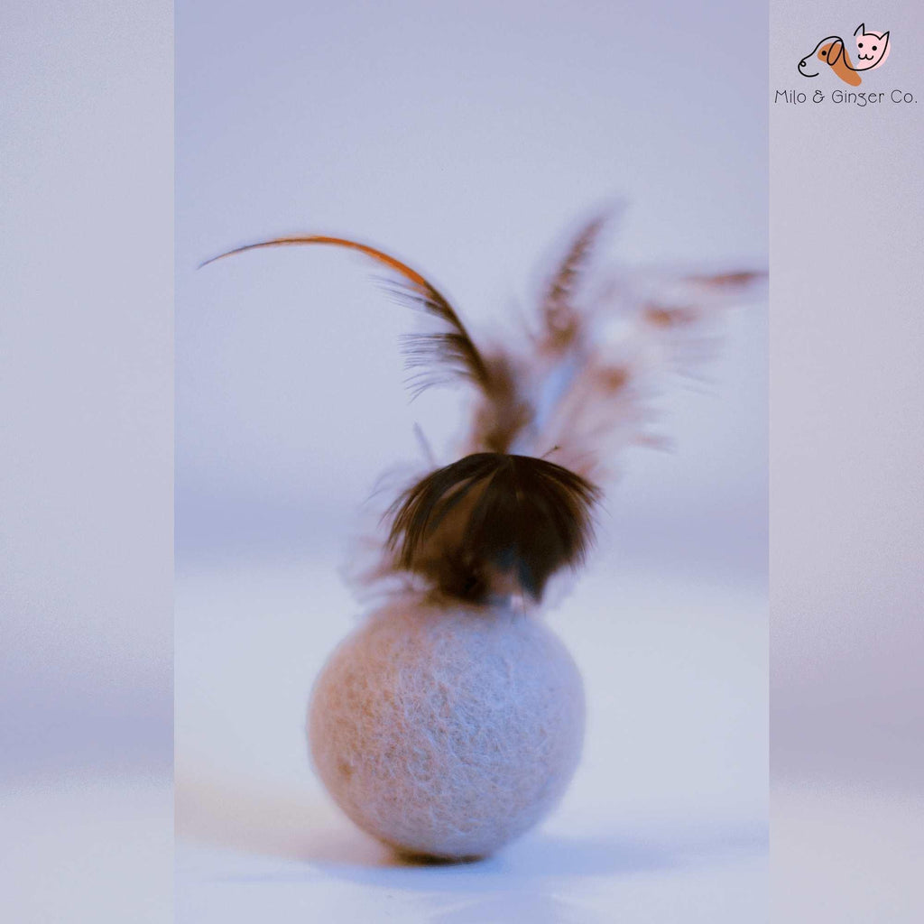 Feather Balls (Pack of 5) - Yak9 Chews