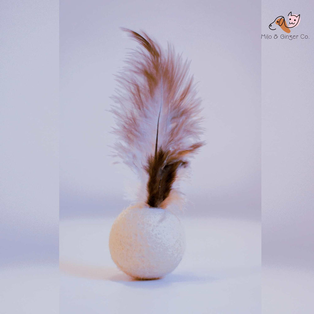 Feather Balls (Pack of 5) - Yak9 Chews