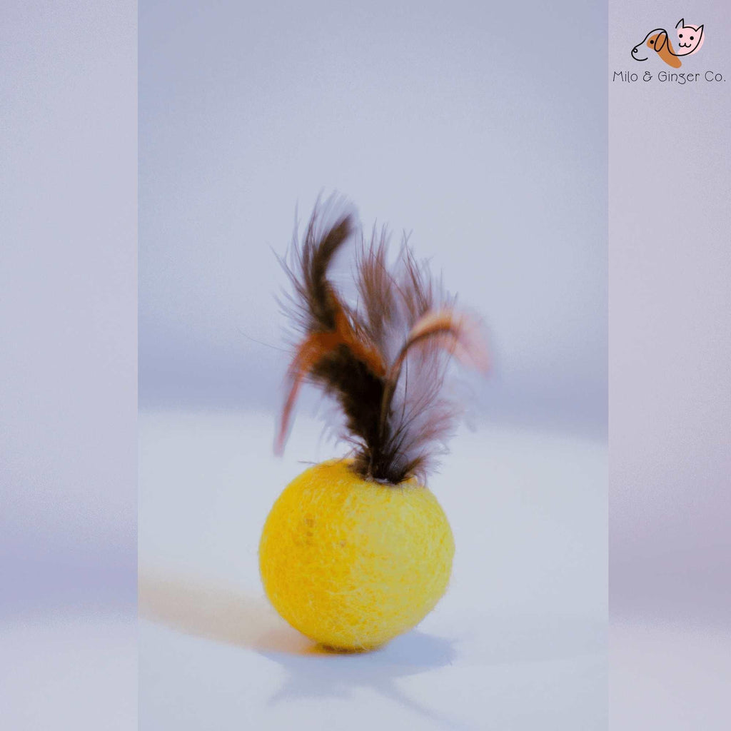 Feather Balls (Pack of 5) - Yak9 Chews