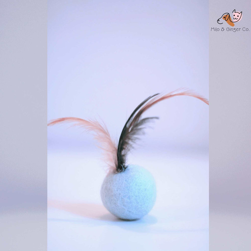 Feather Balls (Pack of 5) - Yak9 Chews