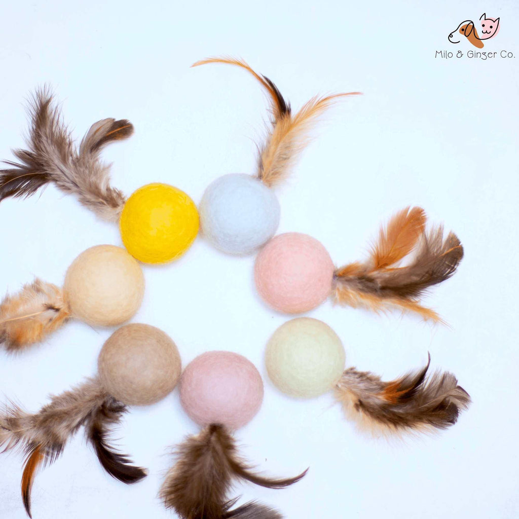 Feather Balls (Pack of 5) - Yak9 Chews